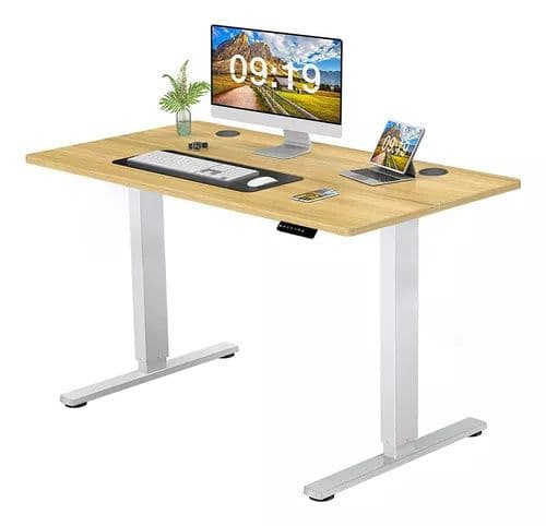 Escritorio Electrónico Standing Desk Dellorean Altura Regulable
