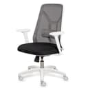 Silla Erasmo fx medium thumbnail