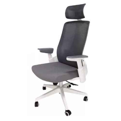 Silla Erasmo Space X