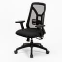 Silla Erasmo fx medium thumbnail